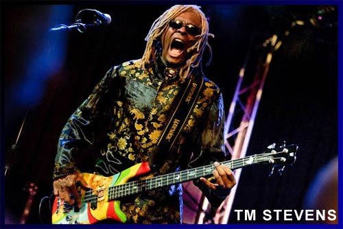 TM STEVENS